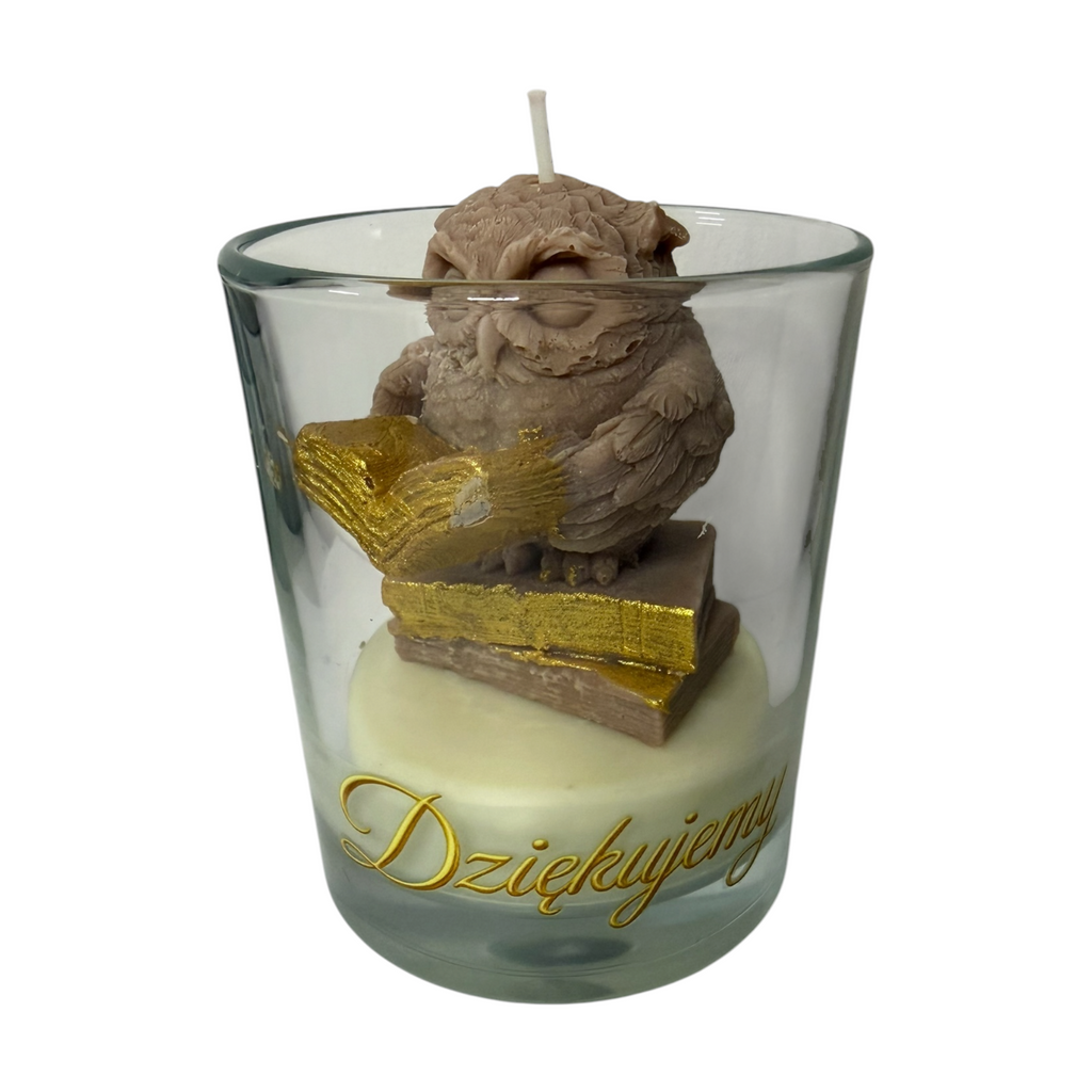 Decoratieve sojakaars bedankje Uil met boek in beschilderd glas Vanille tot 45u 180g
