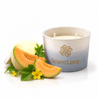 Sojakaars met meloengeur Just Melon Intense 100g tot 25u