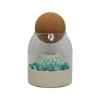 Vela aromática de soja en vaso regalo para mamá Crisantemo Azul con gypsophila Citrus Harmony 200g