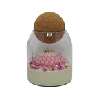 Vela aromática de soja en vaso regalo para mamá Crisantemo Rosa con gypsophila Citrus Harmony 200g