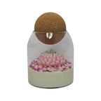 Vela aromática de soja en vaso regalo para mamá Crisantemo Rosa con gypsophila Citrus Harmony 200g