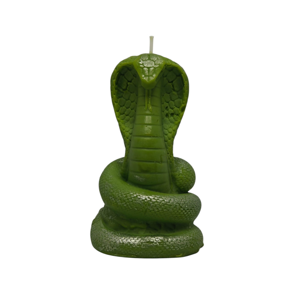 Lumânare decorativă parfumată din ceară de soia Șarpe Cobra Dark Code 164g