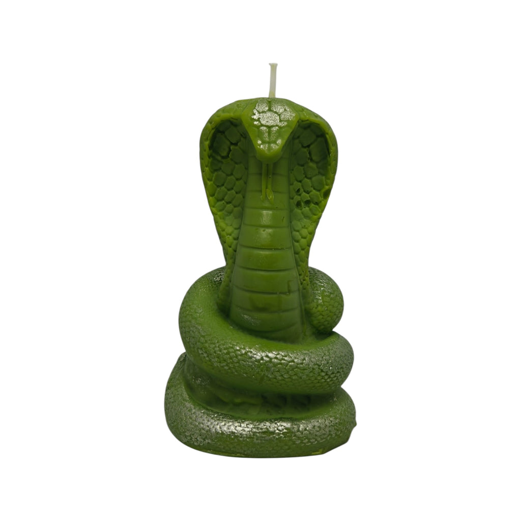 Lumânare decorativă parfumată din ceară de soia Șarpe Cobra Dark Code 164g