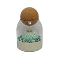 Vela aromática de soja en vaso regalo para mamá Crisantemo Azul con gypsophila Citrus Harmony 200g