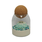 Vela aromática de soja en vaso regalo para mamá Crisantemo Azul con gypsophila Citrus Harmony 200g