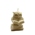 Decorative Owl with Book Soy Candle 116g