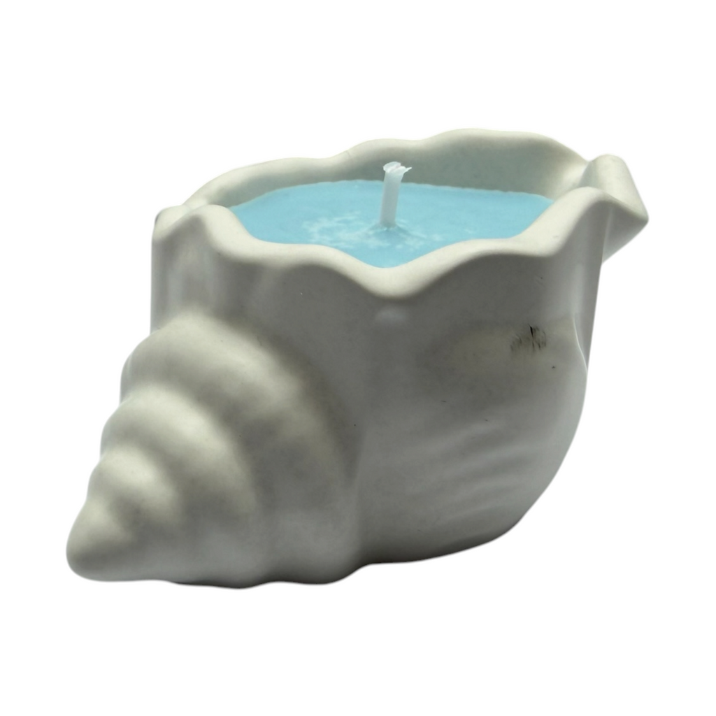 Sojawachskerze in Gips MUSCHELN mit blauem Wachs, Duft Zanzibar – maritime Dekoration
