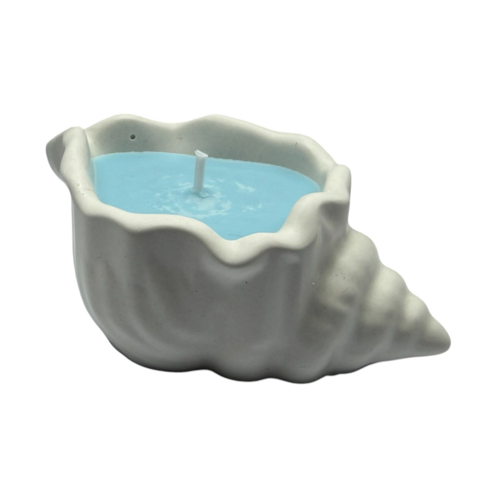 Sojawachskerze in Gips MUSCHELN mit blauem Wachs, Duft Zanzibar – maritime Dekoration
