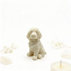 Wosk zapachowy do kominka Pies Basset 44g