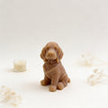 Wosk zapachowy do kominka Pies Basset 44g