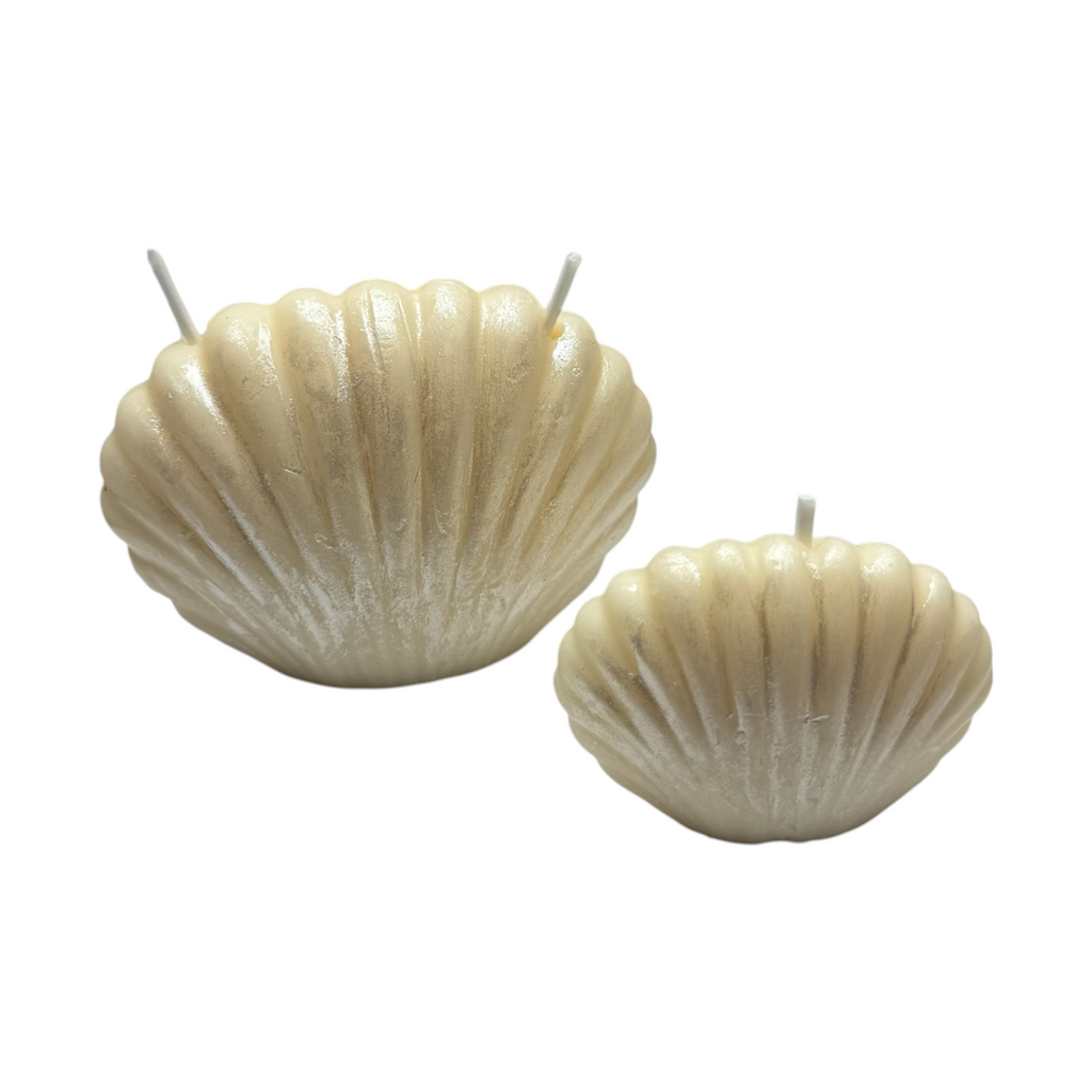 Set aus Sojawachskerzen PERLMUSCHELN Duft Zanzibar – dekorative maritime Kerzen 160g