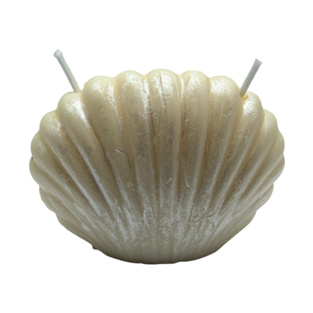 Set aus Sojawachskerzen PERLMUSCHELN Duft Zanzibar – dekorative maritime Kerzen 160g