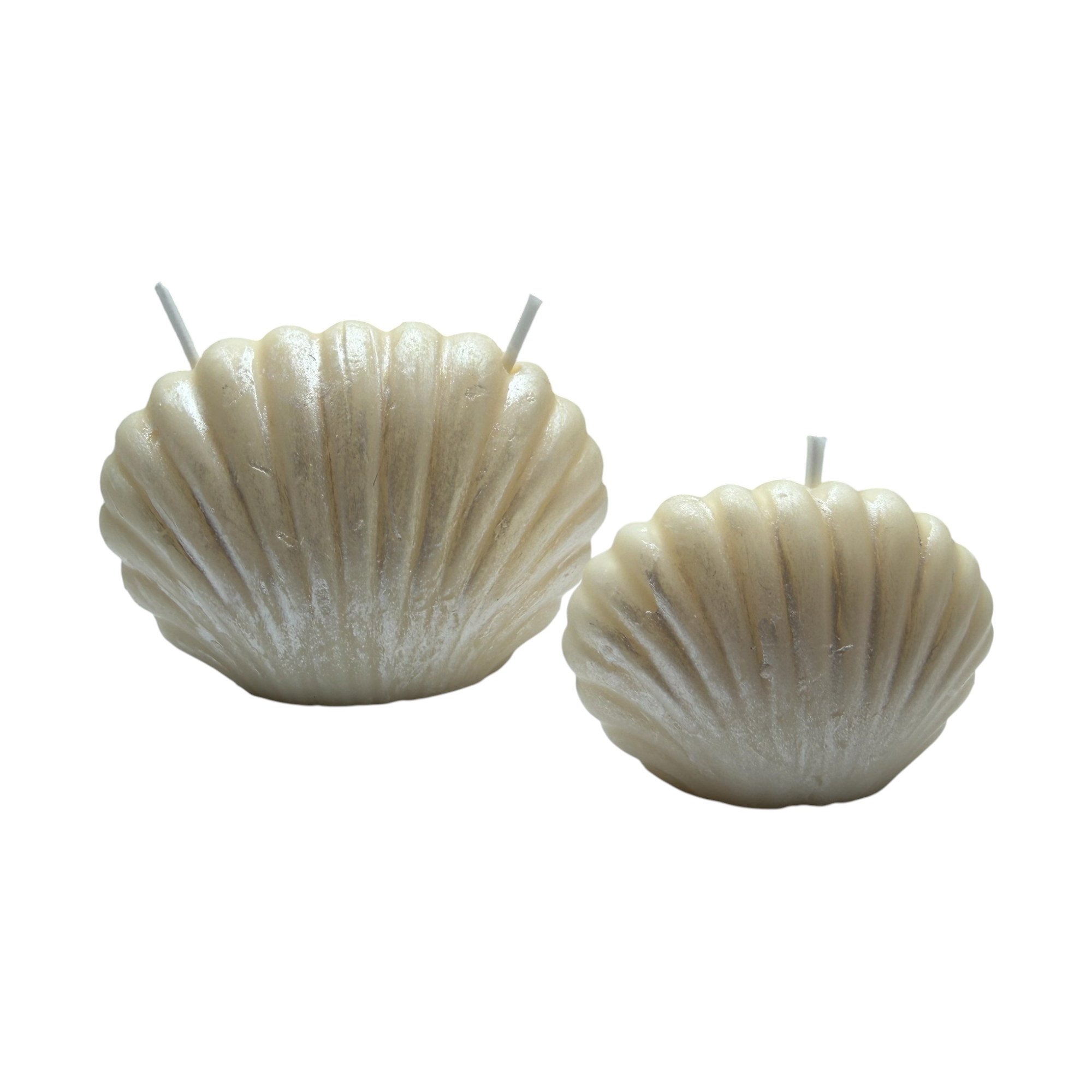 Set aus Sojawachskerzen PERLMUSCHELN Duft Zanzibar – dekorative maritime Kerzen 160g