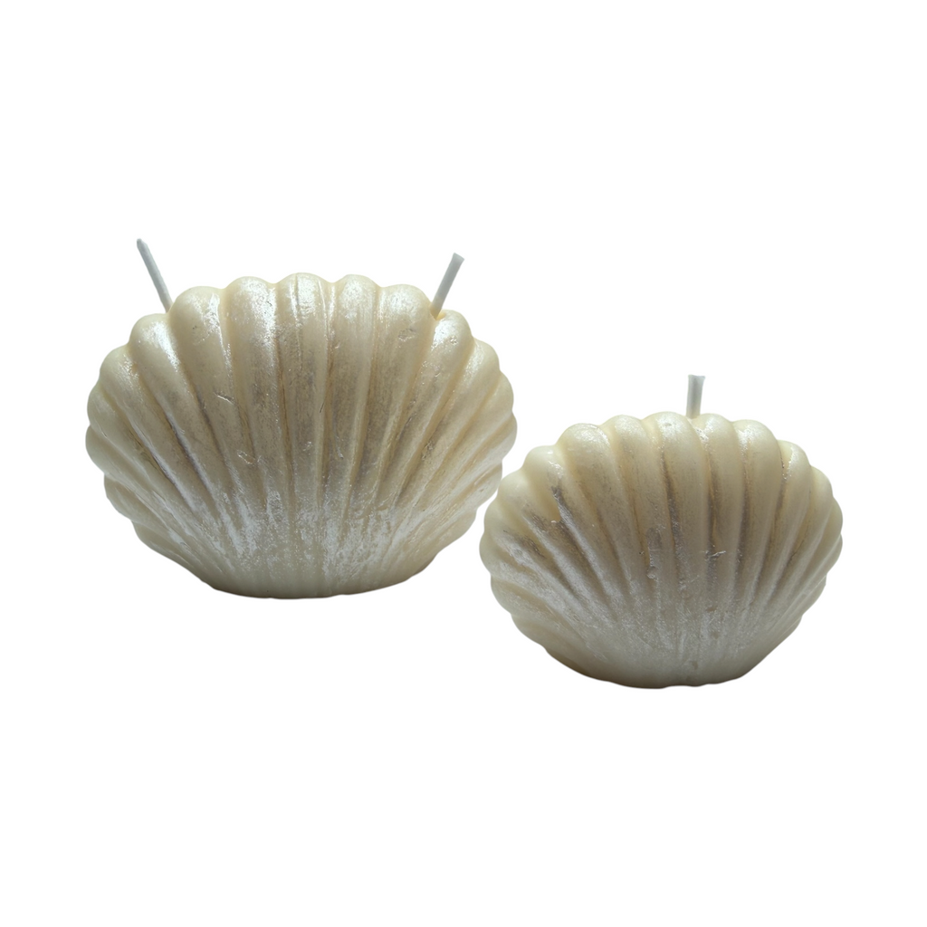 Set aus Sojawachskerzen PERLMUSCHELN Duft Zanzibar – dekorative maritime Kerzen 160g
