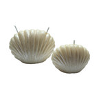 Set aus Sojawachskerzen PERLMUSCHELN Duft Zanzibar – dekorative maritime Kerzen 160g